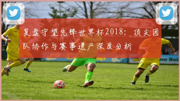 复盘守望先锋世界杯2018：顶尖团队协作与赛事遗产深度分析
