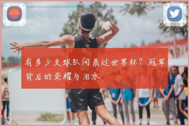 有多少支球队问鼎过世界杯？冠军背后的荣耀与泪水