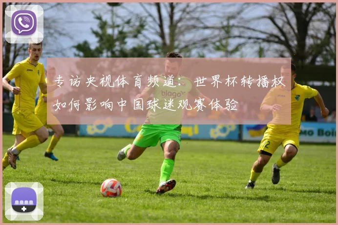 专访央视体育频道:世界杯转播权如何影响中国球迷观赛体验