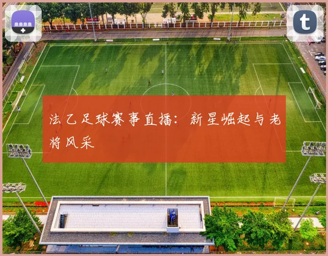 法乙足球赛事直播：新星崛起与老将风采