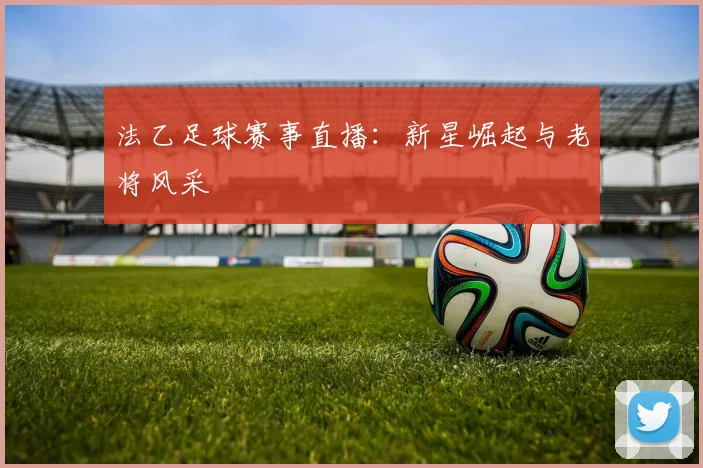 法乙足球赛事直播：新星崛起与老将风采